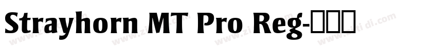 Strayhorn MT Pro Reg字体转换
